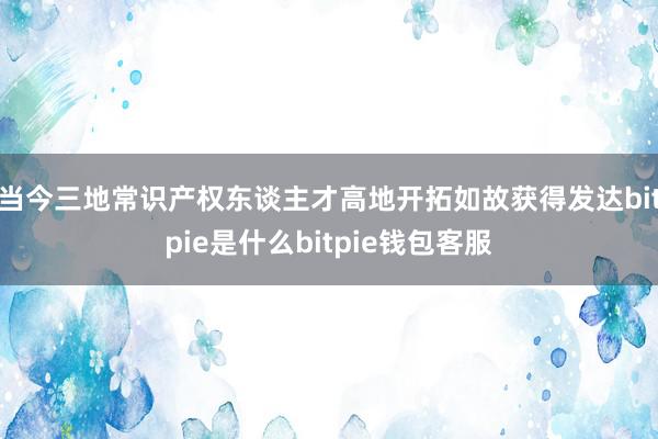 当今三地常识产权东谈主才高地开拓如故获得发达bitpie是什么bitpie钱包客服