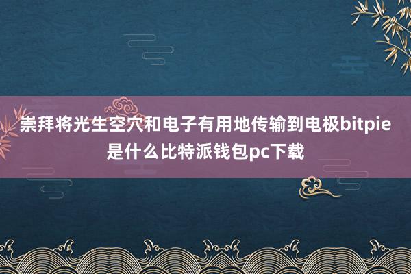 崇拜将光生空穴和电子有用地传输到电极bitpie是什么比特派钱包pc下载