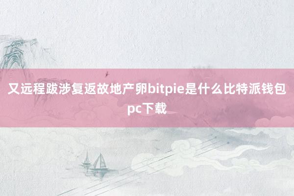 又远程跋涉复返故地产卵bitpie是什么比特派钱包pc下载