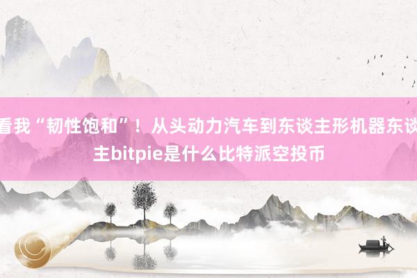 看我“韧性饱和”！从头动力汽车到东谈主形机器东谈主bitpie是什么比特派空投币