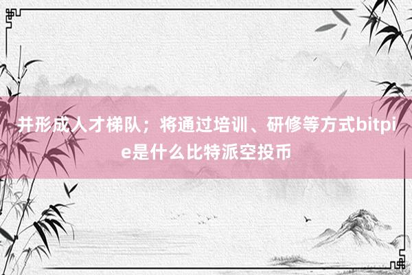 并形成人才梯队；将通过培训、研修等方式bitpie是什么比特派空投币