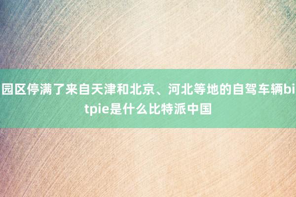 园区停满了来自天津和北京、河北等地的自驾车辆bitpie是什么比特派中国