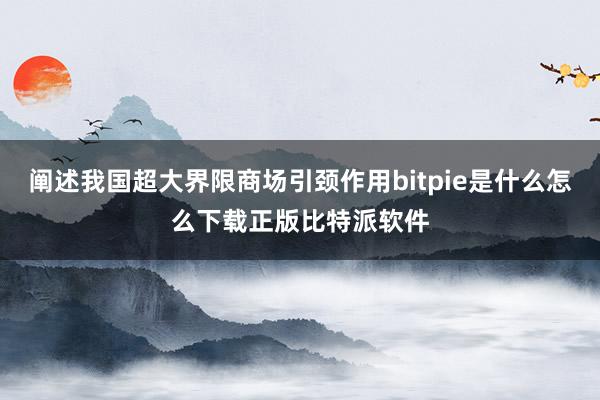 阐述我国超大界限商场引颈作用bitpie是什么怎么下载正版比特派软件