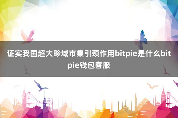 证实我国超大畛域市集引颈作用bitpie是什么bitpie钱包客服