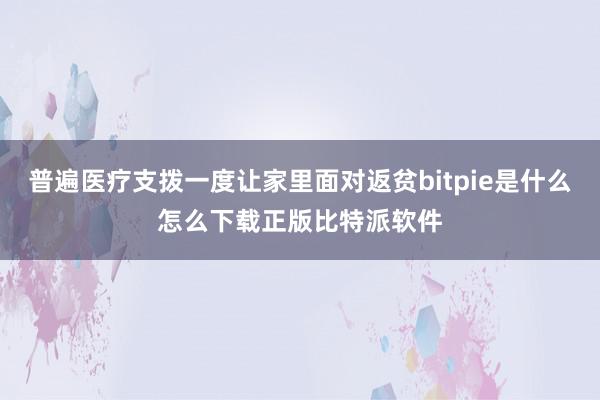 普遍医疗支拨一度让家里面对返贫bitpie是什么怎么下载正版比特派软件