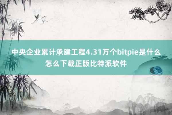 中央企业累计承建工程4.31万个bitpie是什么怎么下载正版比特派软件