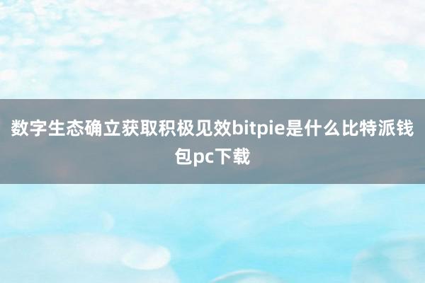 数字生态确立获取积极见效bitpie是什么比特派钱包pc下载