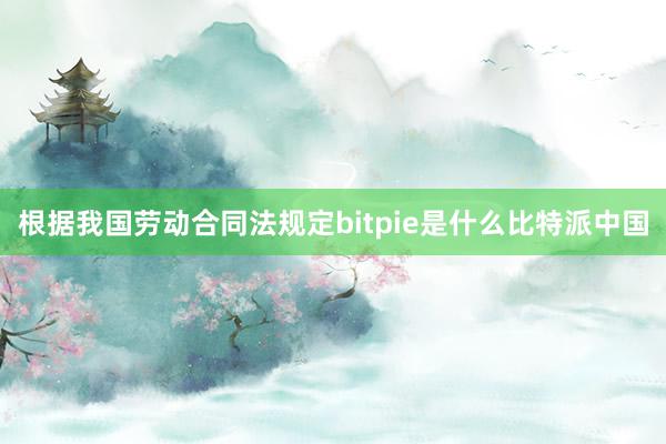 根据我国劳动合同法规定bitpie是什么比特派中国