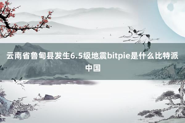 云南省鲁甸县发生6.5级地震bitpie是什么比特派中国