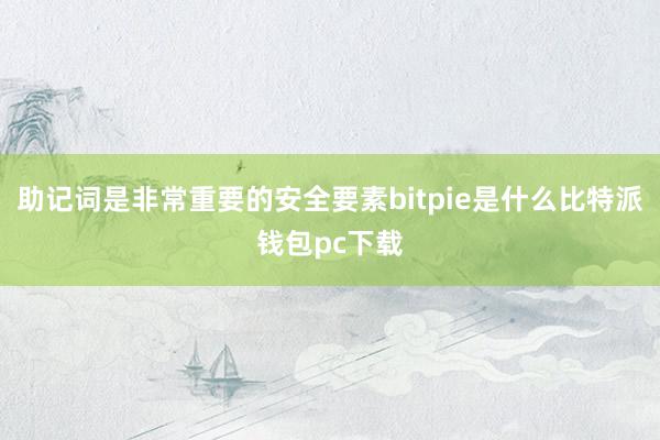 助记词是非常重要的安全要素bitpie是什么比特派钱包pc下载