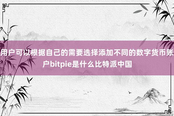 用户可以根据自己的需要选择添加不同的数字货币账户bitpie是什么比特派中国