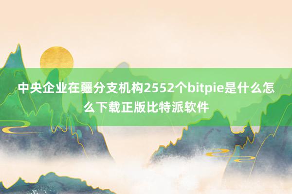 中央企业在疆分支机构2552个bitpie是什么怎么下载正版比特派软件