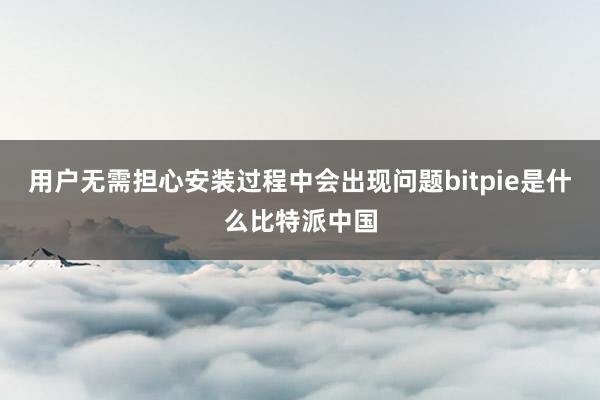 用户无需担心安装过程中会出现问题bitpie是什么比特派中国