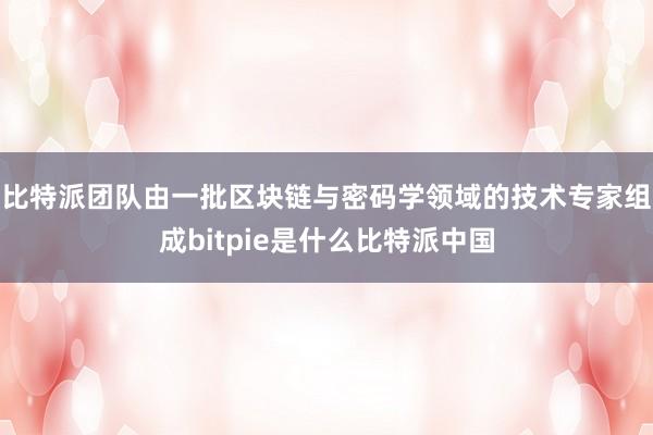 比特派团队由一批区块链与密码学领域的技术专家组成bitpie是什么比特派中国