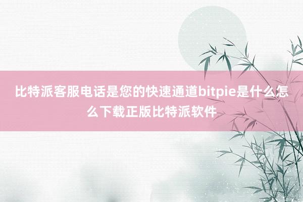 比特派客服电话是您的快速通道bitpie是什么怎么下载正版比特派软件