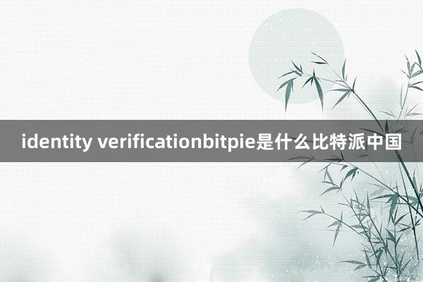 identity verificationbitpie是什么比特派中国