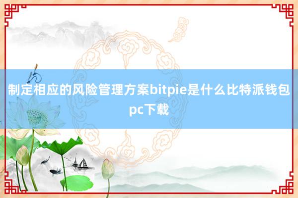 制定相应的风险管理方案bitpie是什么比特派钱包pc下载