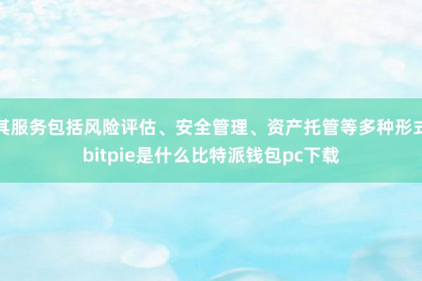 其服务包括风险评估、安全管理、资产托管等多种形式bitpie是什么比特派钱包pc下载