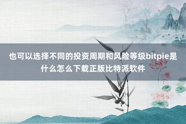 也可以选择不同的投资周期和风险等级bitpie是什么怎么下载正版比特派软件