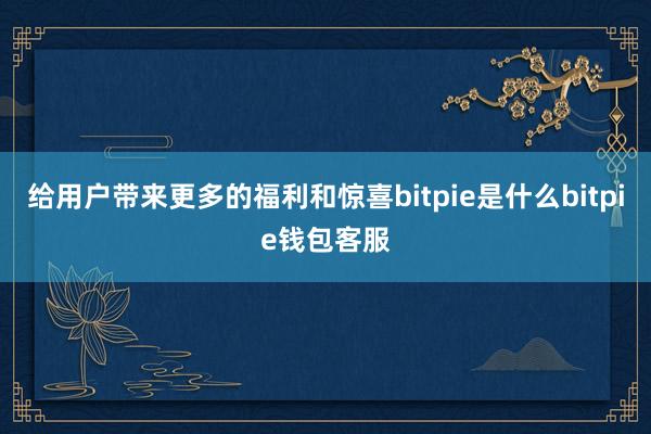 给用户带来更多的福利和惊喜bitpie是什么bitpie钱包客服