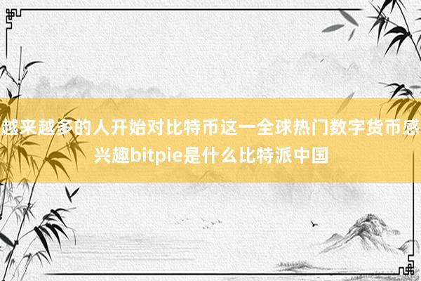 越来越多的人开始对比特币这一全球热门数字货币感兴趣bitpie是什么比特派中国