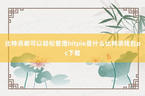 比特派都可以轻松管理bitpie是什么比特派钱包pc下载