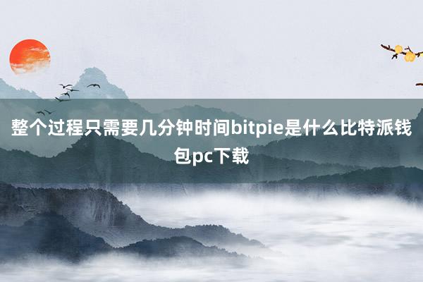 整个过程只需要几分钟时间bitpie是什么比特派钱包pc下载