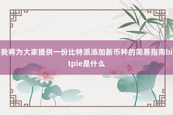 我将为大家提供一份比特派添加新币种的简易指南bitpie是什么