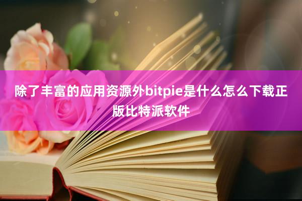 除了丰富的应用资源外bitpie是什么怎么下载正版比特派软件