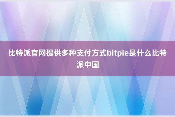 比特派官网提供多种支付方式bitpie是什么比特派中国