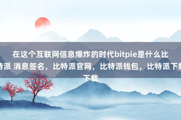 在这个互联网信息爆炸的时代bitpie是什么比特派 消息签名，比特派官网，比特派钱包，比特派下载