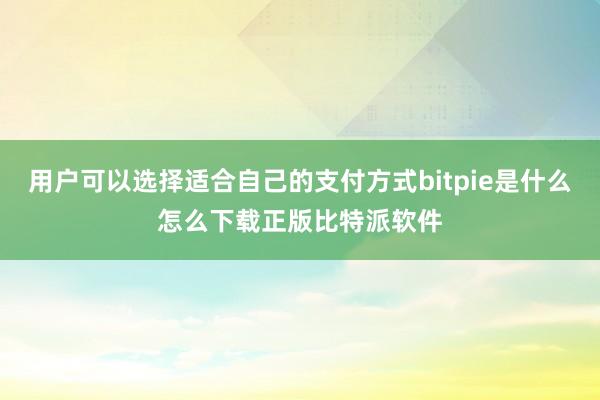 用户可以选择适合自己的支付方式bitpie是什么怎么下载正版比特派软件