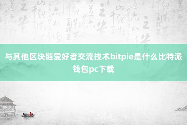 与其他区块链爱好者交流技术bitpie是什么比特派钱包pc下载