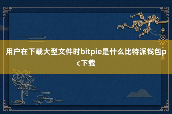 用户在下载大型文件时bitpie是什么比特派钱包pc下载