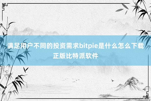 满足用户不同的投资需求bitpie是什么怎么下载正版比特派软件