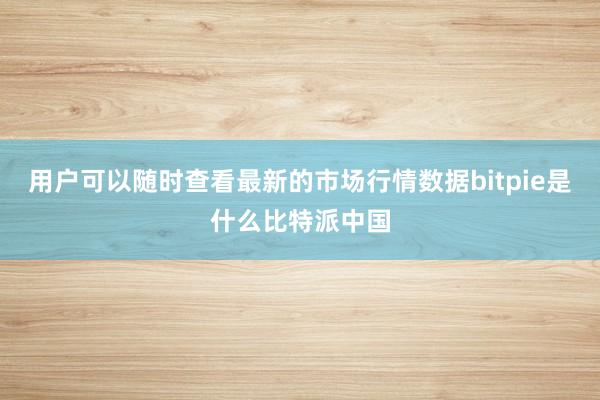 用户可以随时查看最新的市场行情数据bitpie是什么比特派中国