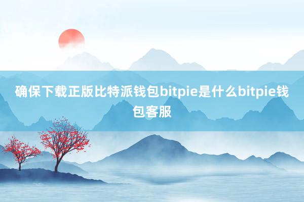 确保下载正版比特派钱包bitpie是什么bitpie钱包客服