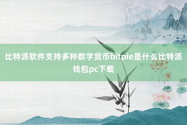 比特派软件支持多种数字货币bitpie是什么比特派钱包pc下载