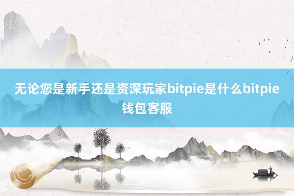 无论您是新手还是资深玩家bitpie是什么bitpie钱包客服