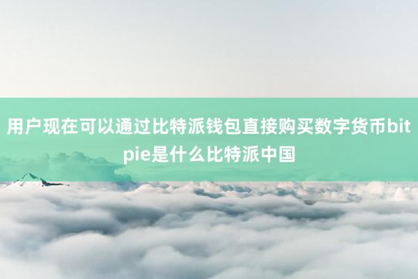 用户现在可以通过比特派钱包直接购买数字货币bitpie是什么比特派中国