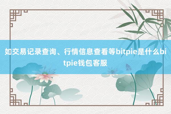 如交易记录查询、行情信息查看等bitpie是什么bitpie钱包客服