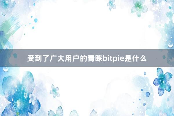 受到了广大用户的青睐bitpie是什么