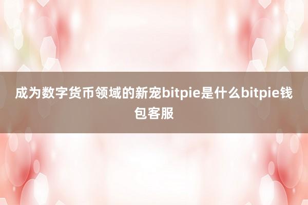 成为数字货币领域的新宠bitpie是什么bitpie钱包客服