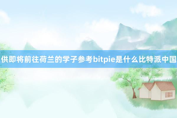 供即将前往荷兰的学子参考bitpie是什么比特派中国