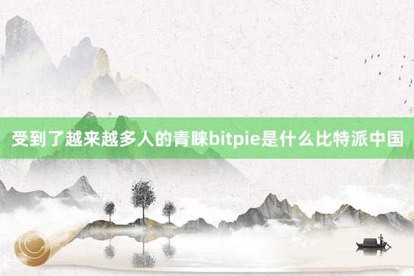 受到了越来越多人的青睐bitpie是什么比特派中国