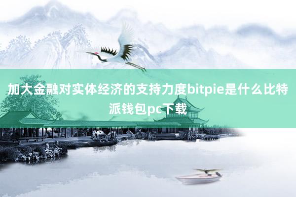 加大金融对实体经济的支持力度bitpie是什么比特派钱包pc下载