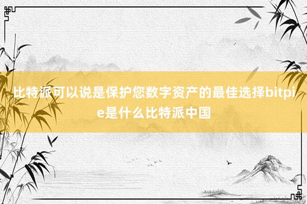 比特派可以说是保护您数字资产的最佳选择bitpie是什么比特派中国