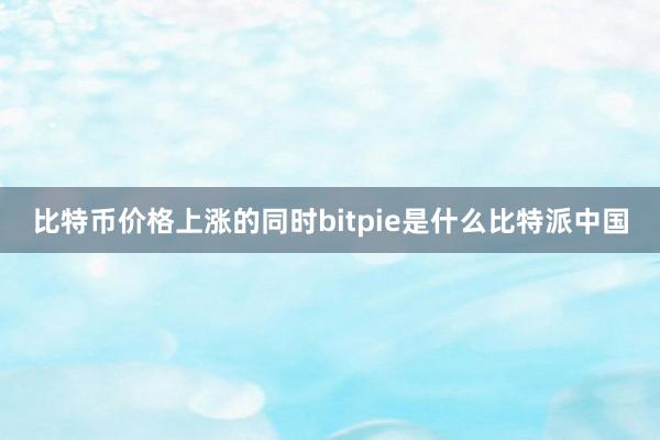 比特币价格上涨的同时bitpie是什么比特派中国