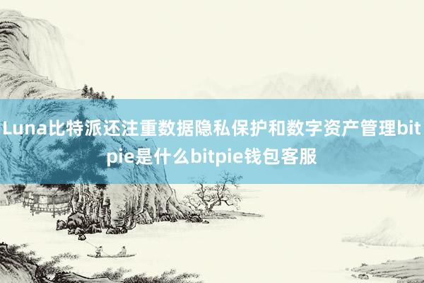 Luna比特派还注重数据隐私保护和数字资产管理bitpie是什么bitpie钱包客服