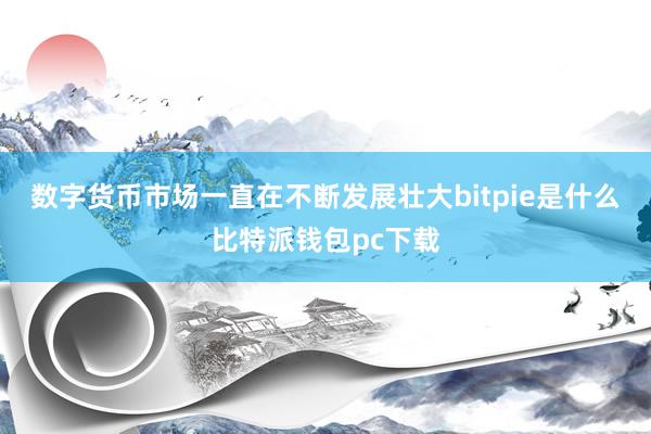 数字货币市场一直在不断发展壮大bitpie是什么比特派钱包pc下载